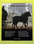 Draft Horse Images Book