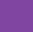 1^ Heavy Purple Nylon Web 50/Yd