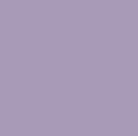 1^ Reg Nylon Webbing Lavender