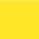 1^ Reg. Yellow Nylon Web 50/Yd
