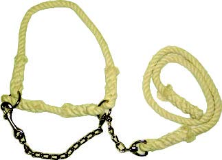 Cotton Show Halter with Chain