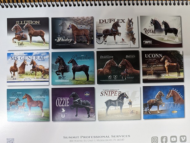Draft Horse Stallion Calendar (2024) 2