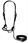 Leather Cow Show Halter W/Lead