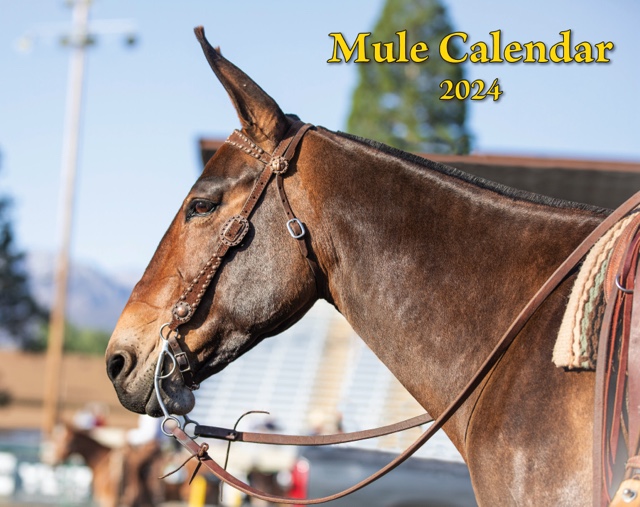 Mule Calendars (2023)