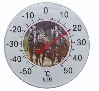 Thermometers & Weather Vanes