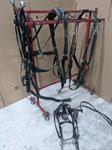 Used Nylon Team Harness with 28^ Hames