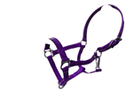 252 StyleBiothane Horse Halter Purple