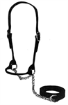 Leather Cow Show Halter W/Lead