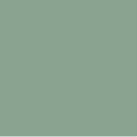 1/2^ Standard Beta Sage Green GN527